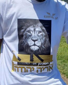 Arieh Yehuda